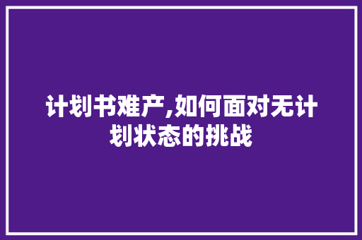 计划书难产,如何面对无计划状态的挑战