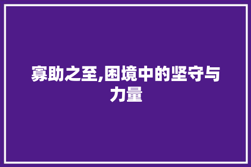 寡助之至,困境中的坚守与力量