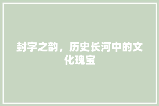 封字之韵，历史长河中的文化瑰宝