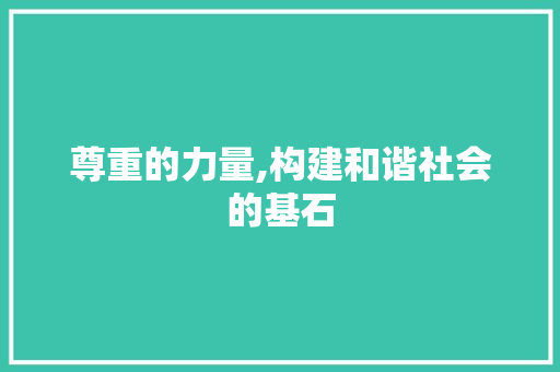尊重的力量,构建和谐社会的基石
