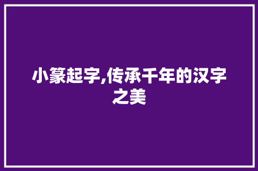 小篆起字,传承千年的汉字之美