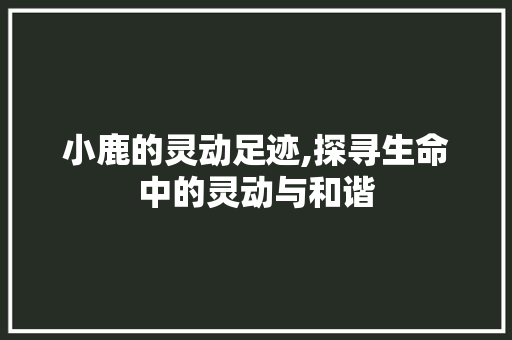 小鹿的灵动足迹,探寻生命中的灵动与和谐