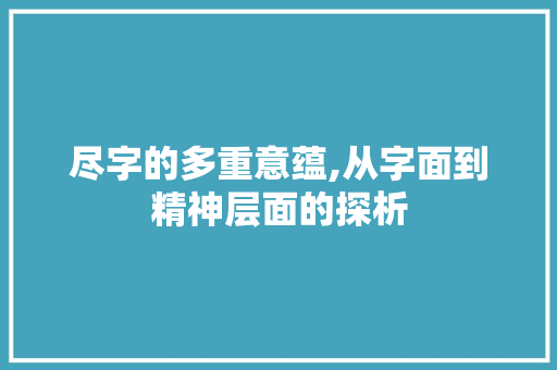 尽字的多重意蕴,从字面到精神层面的探析