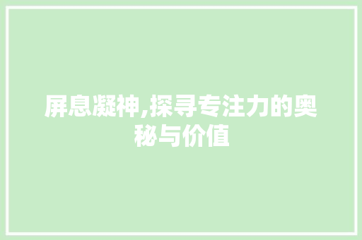 屏息凝神,探寻专注力的奥秘与价值