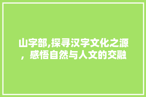 山字部,探寻汉字文化之源，感悟自然与人文的交融