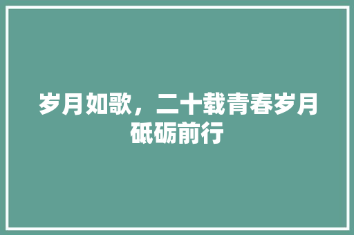 岁月如歌，二十载青春岁月砥砺前行