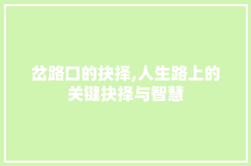 岔路口的抉择,人生路上的关键抉择与智慧