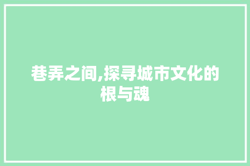 巷弄之间,探寻城市文化的根与魂