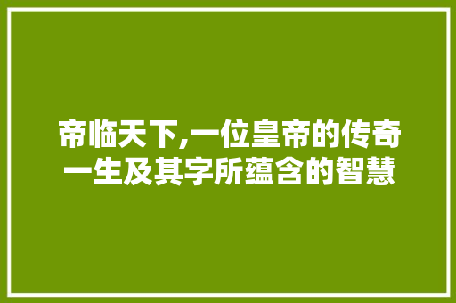 帝临天下,一位皇帝的传奇一生及其字所蕴含的智慧