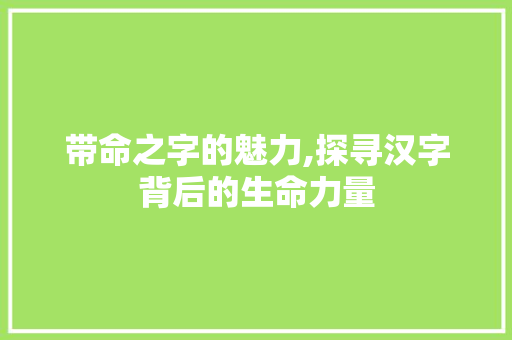 带命之字的魅力,探寻汉字背后的生命力量