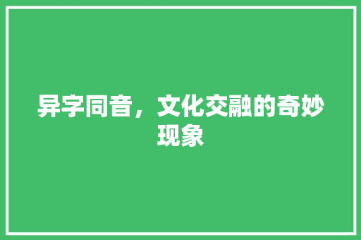 异字同音，文化交融的奇妙现象