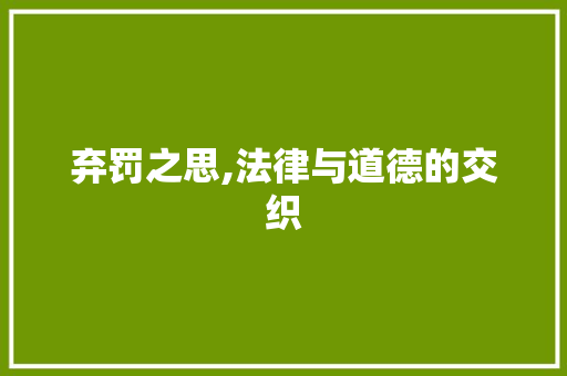 弃罚之思,法律与道德的交织