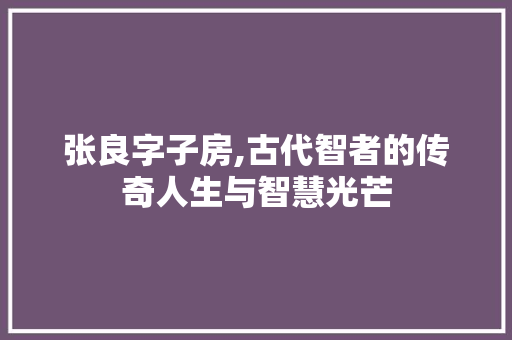 张良字子房,古代智者的传奇人生与智慧光芒