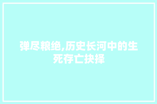 弹尽粮绝,历史长河中的生死存亡抉择