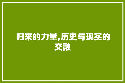 归来的力量,历史与现实的交融