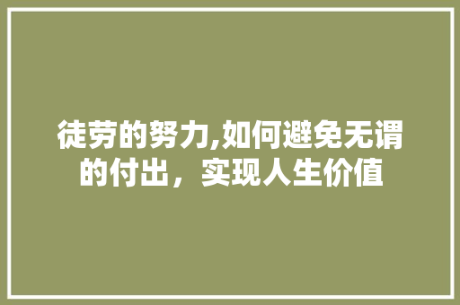 徒劳的努力,如何避免无谓的付出，实现人生价值
