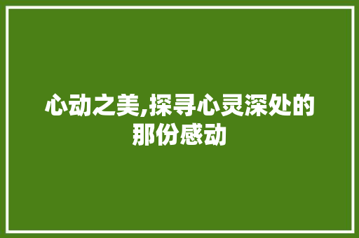 心动之美,探寻心灵深处的那份感动