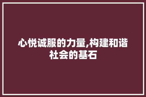 心悦诚服的力量,构建和谐社会的基石