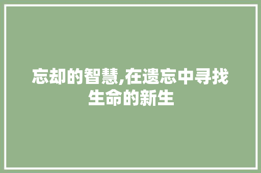 忘却的智慧,在遗忘中寻找生命的新生