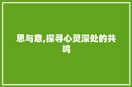 思与意,探寻心灵深处的共鸣