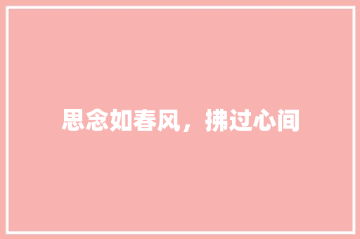 思念如春风，拂过心间