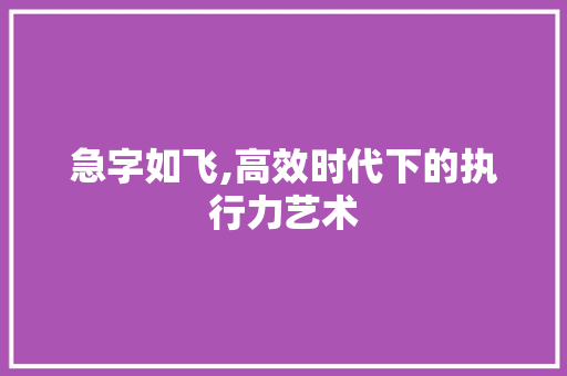 急字如飞,高效时代下的执行力艺术