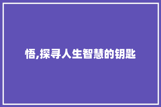 悟,探寻人生智慧的钥匙