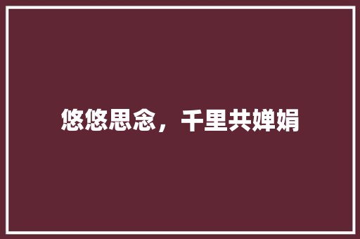 悠悠思念，千里共婵娟