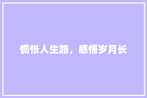 惆怅人生路，感悟岁月长