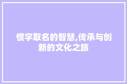 惯字取名的智慧,传承与创新的文化之旅