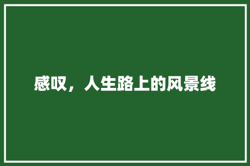 感叹，人生路上的风景线