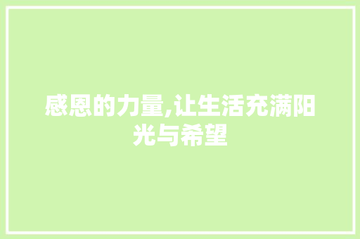 感恩的力量,让生活充满阳光与希望