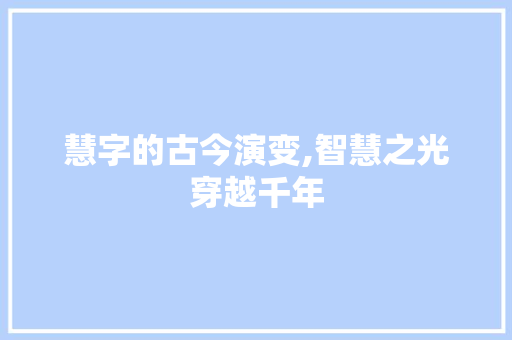 慧字的古今演变,智慧之光穿越千年