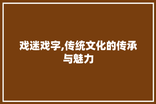戏迷戏字,传统文化的传承与魅力