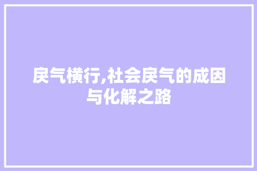 戾气横行,社会戾气的成因与化解之路