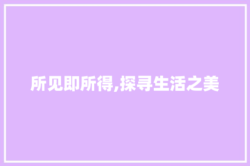 所见即所得,探寻生活之美