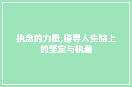 执念的力量,探寻人生路上的坚定与执着