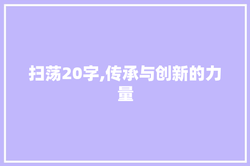 扫荡20字,传承与创新的力量