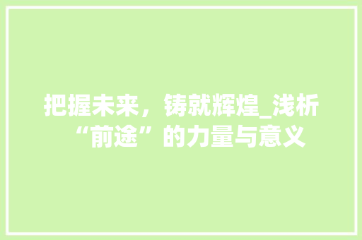 把握未来，铸就辉煌_浅析“前途”的力量与意义