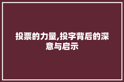 投票的力量,投字背后的深意与启示