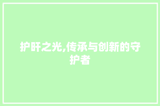 护旰之光,传承与创新的守护者