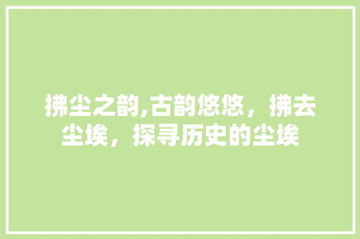 拂尘之韵,古韵悠悠，拂去尘埃，探寻历史的尘埃