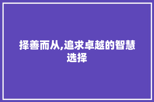 择善而从,追求卓越的智慧选择