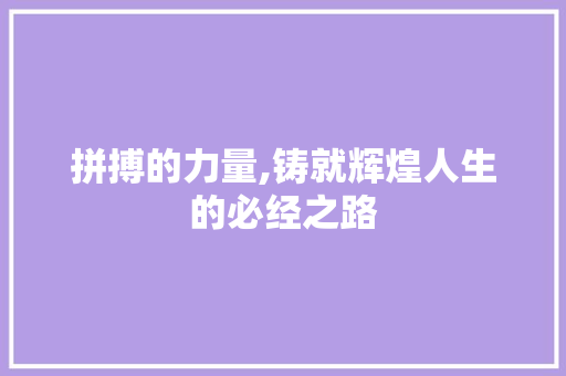 拼搏的力量,铸就辉煌人生的必经之路