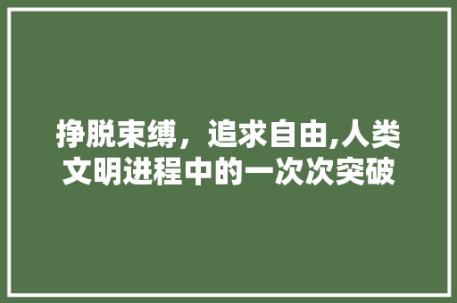 挣脱束缚，追求自由,人类文明进程中的一次次突破