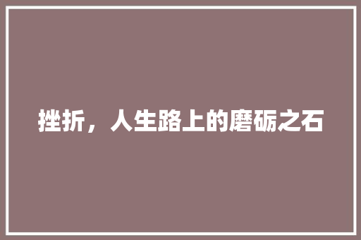 挫折，人生路上的磨砺之石