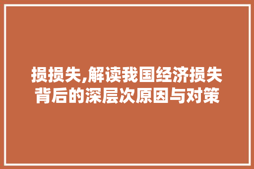 损损失,解读我国经济损失背后的深层次原因与对策