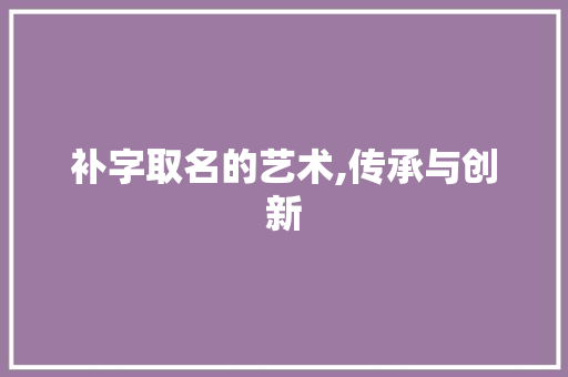 补字取名的艺术,传承与创新