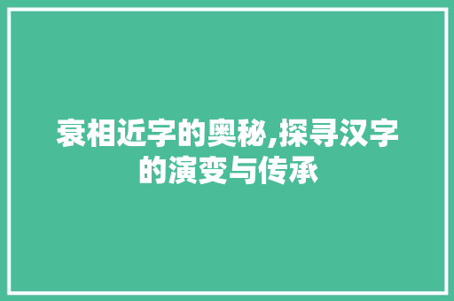 衰相近字的奥秘,探寻汉字的演变与传承