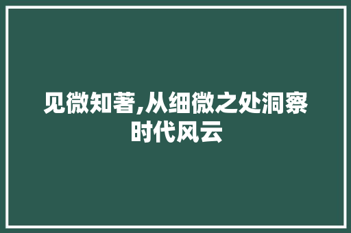 见微知著,从细微之处洞察时代风云